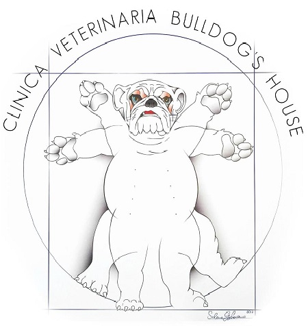 Il bulldog vitruviano, simbolo della Clinica Veterinaria Bulldog's House